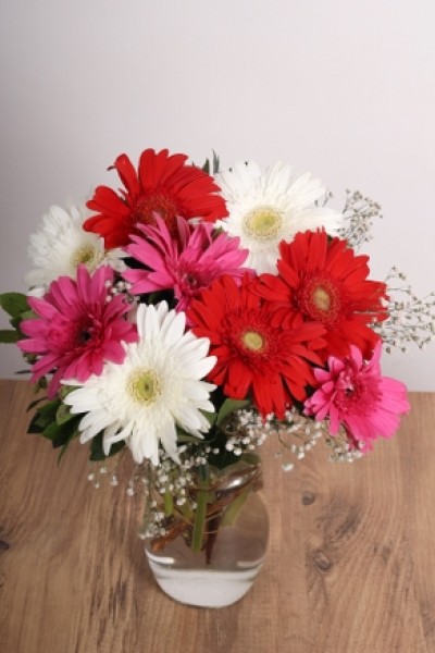 Gerbera Aşkı – Renkli Gerbera Buketi Gerbera Aşkı – Renkli Gerbera Buketi