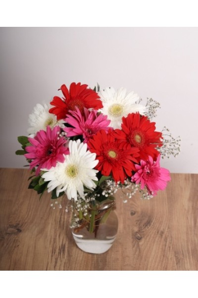 Gerbera Aşkı – Renkli Gerbera Buketi Gerbera Aşkı – Renkli Gerbera Buketi
