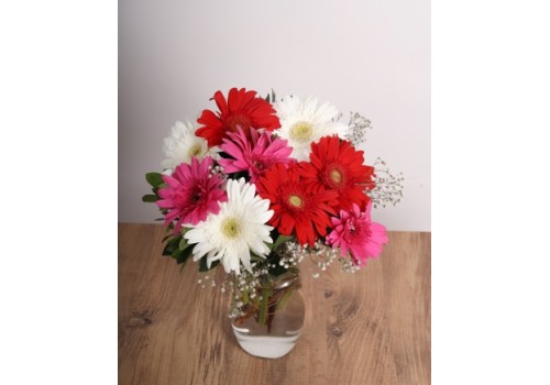 Gerbera Aşkı – Renkli Gerbera Buketi
