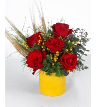 Kırmızı Güller ve Doğal Dokulu Aranjman Sarı Saksıda Şık Tasarım Kırmızı Güller ve Doğal Dokulu Aranjman Sarı Saksıda Şık Tasarım