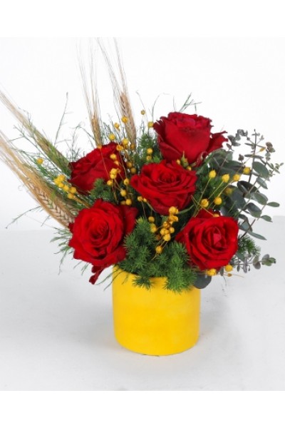 Kırmızı Güller ve Doğal Dokulu Aranjman Sarı Saksıda Şık Tasarım Kırmızı Güller ve Doğal Dokulu Aranjman Sarı Saksıda Şık Tasarım