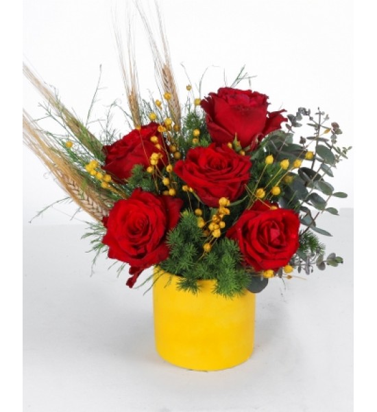 Kırmızı Güller ve Doğal Dokulu Aranjman Sarı Saksıda Şık Tasarım Kırmızı Güller ve Doğal Dokulu Aranjman Sarı Saksıda Şık Tasarım
