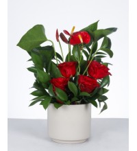 Aşkın Zarafeti: Kırmızı Gül ve Antoryum Aranjmanı Aşkın Zarafeti: Kırmızı Gül ve Antoryum Aranjmanı