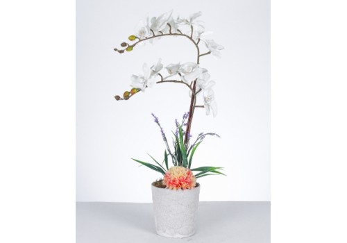 Beyaz Orkide ve Şakayık Aranjmanı Şık Seramik Saksıda