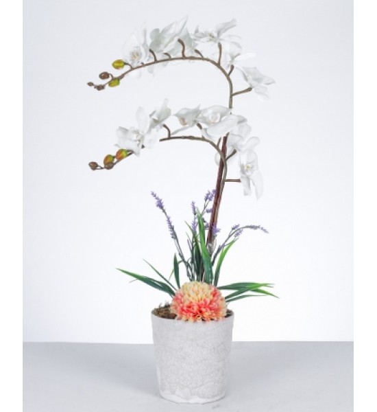 Beyaz Orkide ve Şakayık Aranjmanı Şık Seramik Saksıda Beyaz Orkide ve Şakayık Aranjmanı Şık Seramik Saksıda