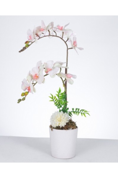 Zarif Beyaz-Orkide Aranjmanı Zarif Beyaz-Orkide Aranjmanı