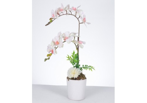 Zarif Beyaz-Orkide Aranjmanı