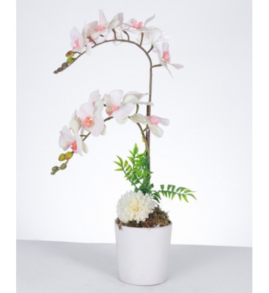 Zarif Beyaz-Orkide Aranjmanı Zarif Beyaz-Orkide Aranjmanı