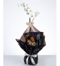 Zarif Beyaz Orkide ve Kurutulmuş Çiçek Aranjman Zarif Beyaz Orkide ve Kurutulmuş Çiçek Aranjman