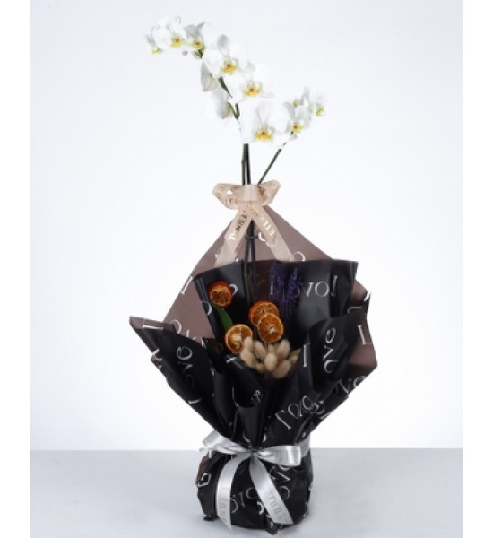 Zarif Beyaz Orkide ve Kurutulmuş Çiçek Aranjman