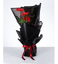 Siyah Şıklığında Kırmızı Antoryum Aranjmanı Siyah Şıklığında Kırmızı Antoryum Aranjmanı