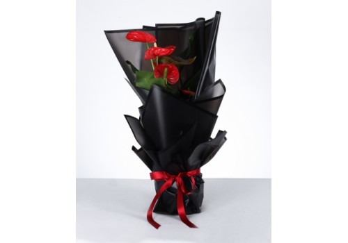 Siyah Şıklığında Kırmızı Antoryum Aranjmanı