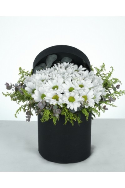 Siyah Silindir Kutuda Beyaz Papatya Aranjmanı