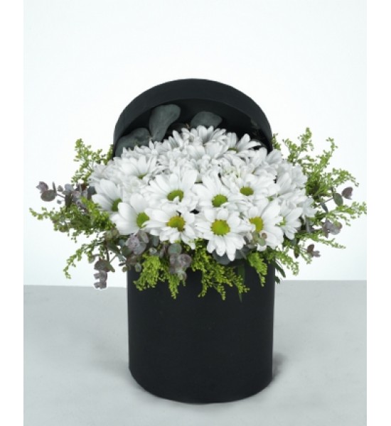 Siyah Silindir Kutuda Beyaz Papatya Aranjmanı Siyah Silindir Kutuda Beyaz Papatya Aranjmanı