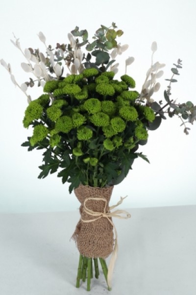 Doğal Jütle Sarılı Yeşil Kasımpatı Buketi Doğal Jütle Sarılı Yeşil Kasımpatı Buketi