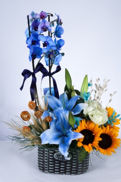 Mavi Orkide ve Ayçiçeği Aranjmanı