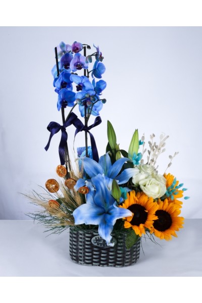 Mavi Orkide ve Ayçiçeği Aranjmanı Mavi Orkide ve Ayçiçeği Aranjmanı