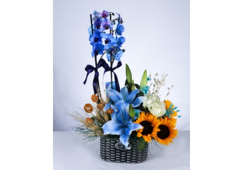 Mavi Orkide ve Ayçiçeği Aranjmanı