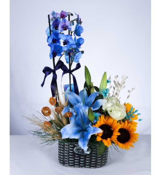 Mavi Orkide ve Ayçiçeği Aranjmanı Mavi Orkide ve Ayçiçeği Aranjmanı