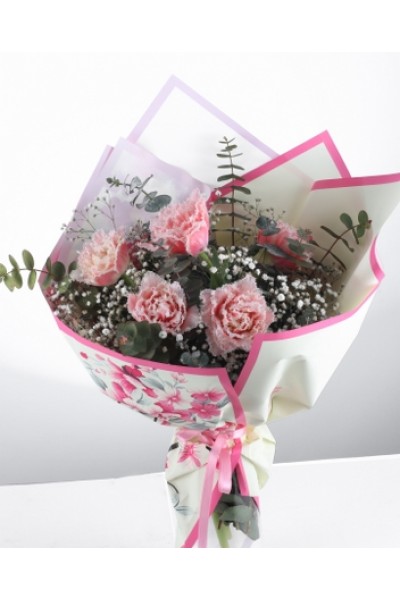 Pembe Karanfil ve Cipso Buketi - Zarif ve Şık Çiçek Aranjmanı Pembe Karanfil ve Cipso Buketi - Zarif ve Şık Çiçek Aranjmanı