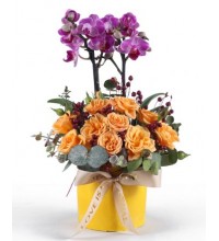 Sarı Güller ve Mor Orkide Aranjmanı Sarı Güller ve Mor Orkide Aranjmanı