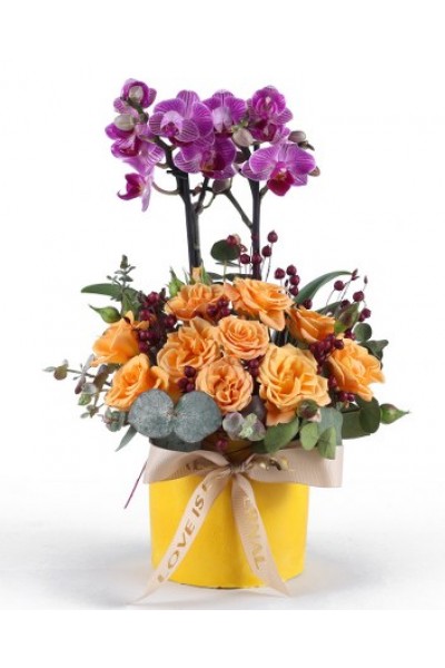 Sarı Güller ve Mor Orkide Aranjmanı Sarı Güller ve Mor Orkide Aranjmanı