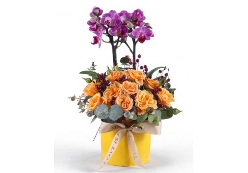 Sarı Güller ve Mor Orkide Aranjmanı