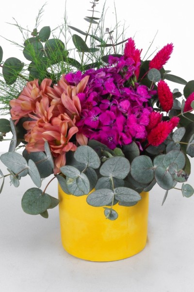 Renkli Çiçek Aranjmanı - Sarı Saksıda Eşsiz Bahar Esintisi