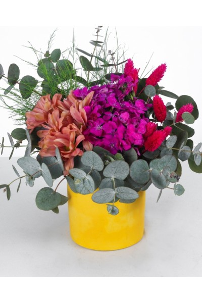 Renkli Çiçek Aranjmanı - Sarı Saksıda Eşsiz Bahar Esintisi