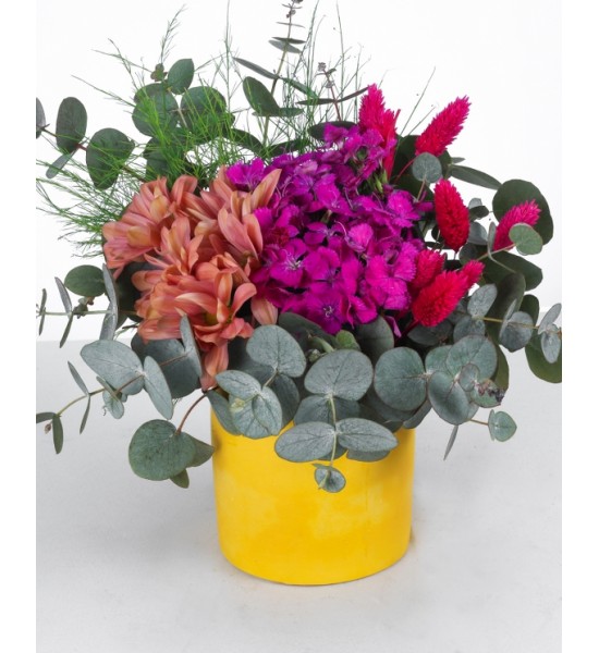 Renkli Çiçek Aranjmanı - Sarı Saksıda Eşsiz Bahar Esintisi